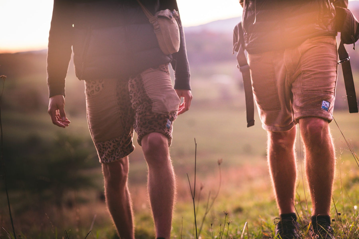 Polar Shorts